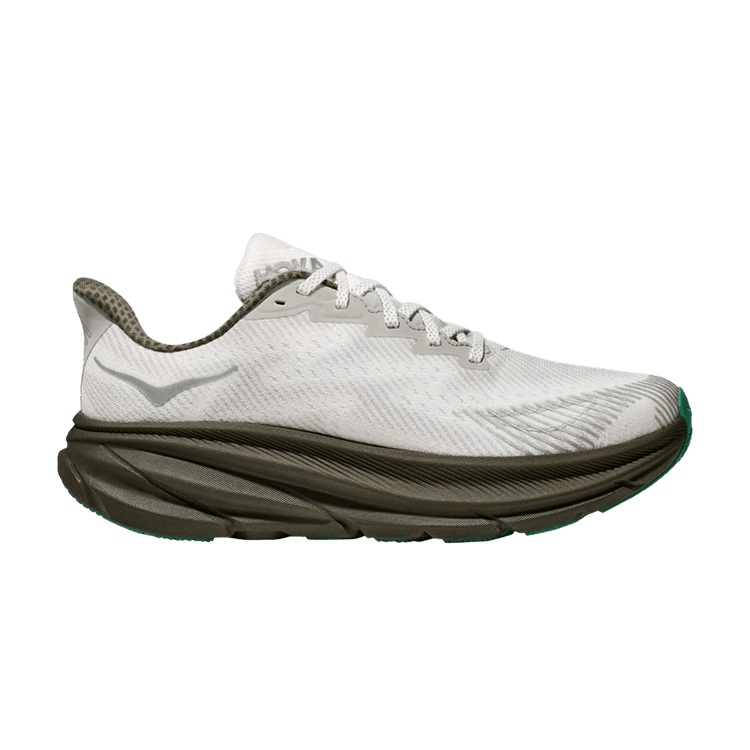 HOKA Clifton 9 GORE-TEX 'Stealth Tech Pack'