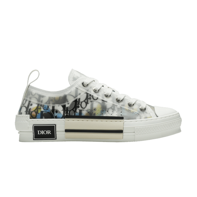Dior B23 Low 'Dior Oblique - Alex Foxton Print'