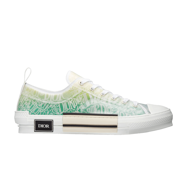 Dior B23 Low 'Dior and Shawn Print'