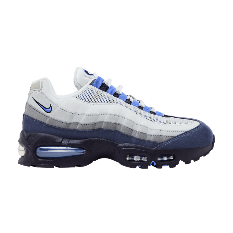 Nike Air Max 95 'Photon Dust Sapphire Raisin'
